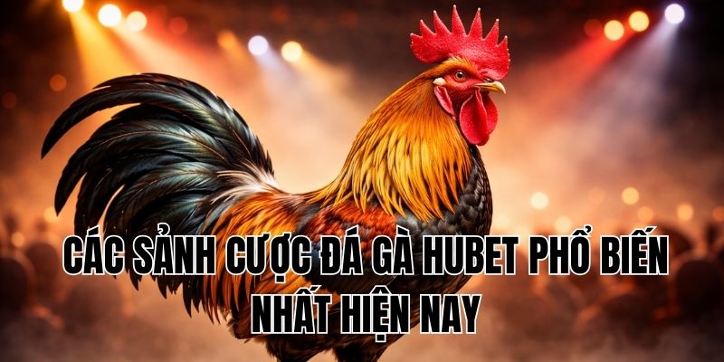 Các sảnh cược đá gà Hubet phổ biến nhất hiện nay